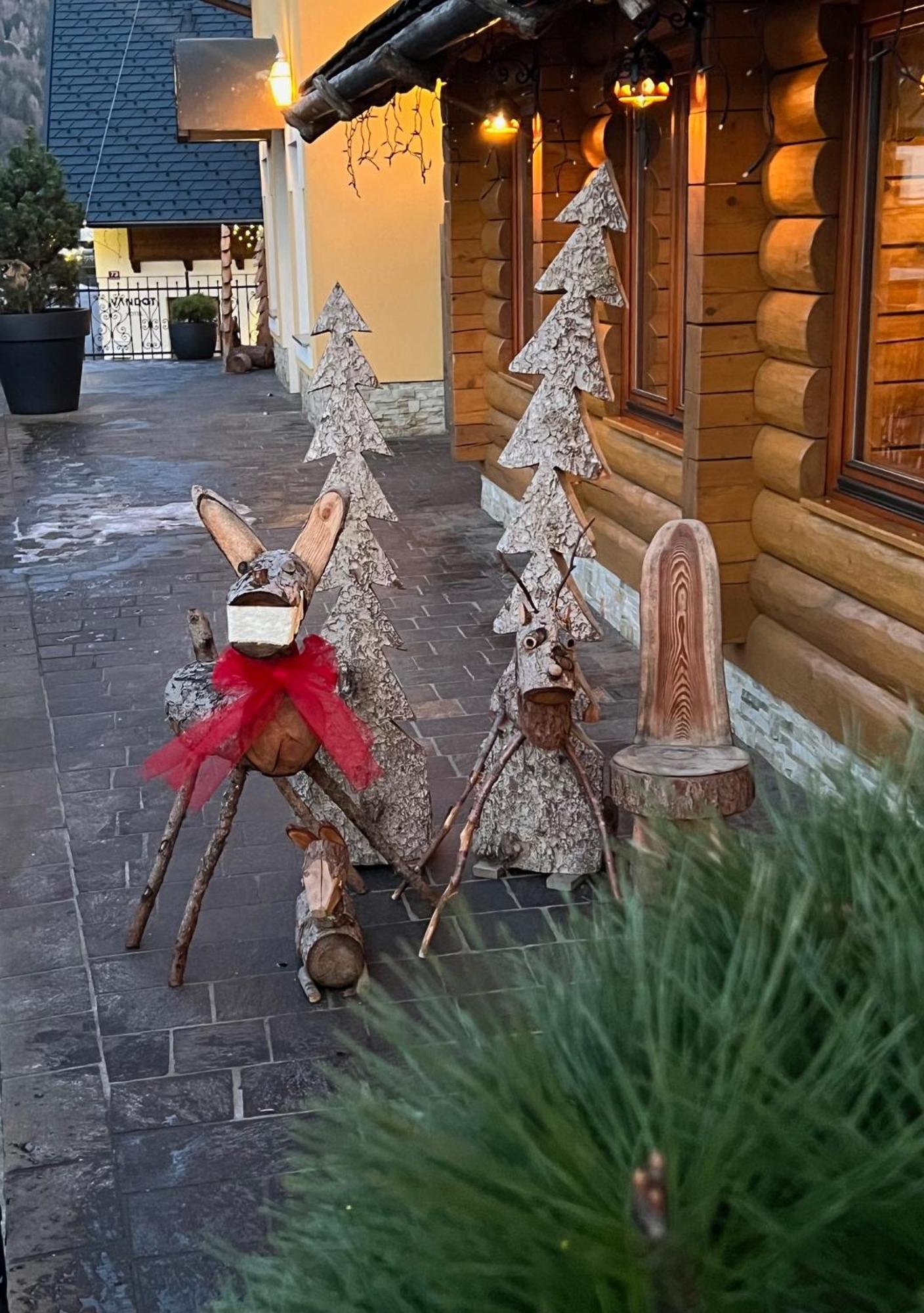 Kotnik Superior Boutique Hotel Kranjska Gora Dış mekan fotoğraf